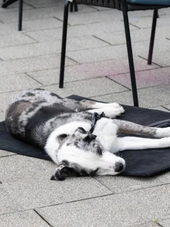 Manta para mascotas de borreguillo con reverso antideslizante, tamaños diferentes