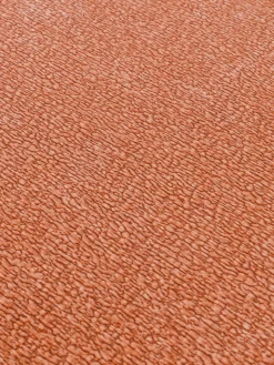 Módulo central Wolke