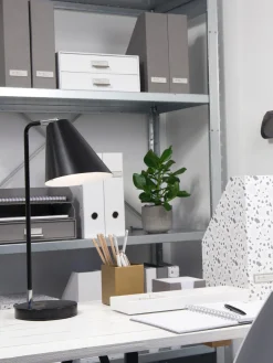 Organizador de escritorio Birger