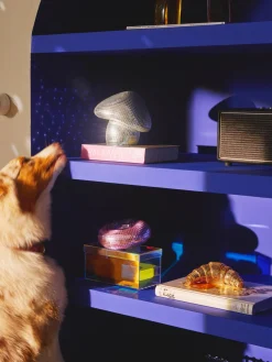 Pieza decorativa brillante Disco Croissant