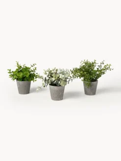 Plantas artificiales con macetas Timothy, 3 uds.
