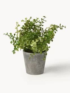 Plantas artificiales con macetas Timothy, 3 uds.