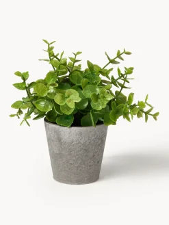 Plantas artificiales con macetas Timothy, 3 uds.