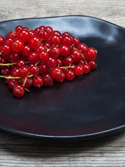 Platos postre Organic, 4 uds.