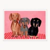 Póster Dachshunds