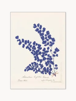 Póster enmarcado Botanical Fern III Blue