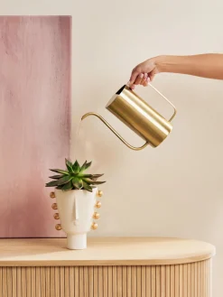 Regadera pequeña Brass