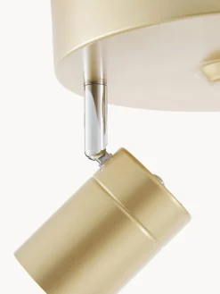 Riel grande ajustable Correct