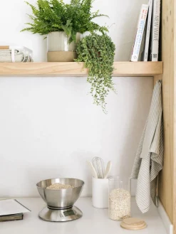 Set de utensilios de cocina Botta, 5 pzas.