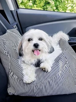 Sofá para mascotas con cinturón de seguridad Premium, tamaños diferentes