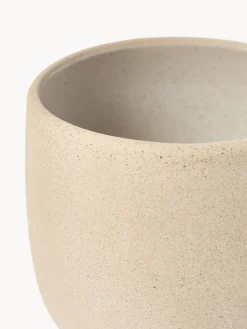 Tazas Ginger, 4 uds.