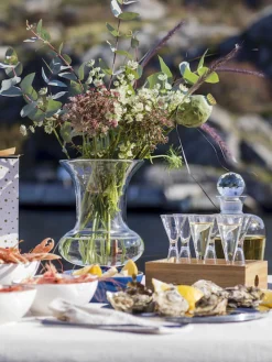 Vasos chupito Semon, 6 uds., con caja de madera