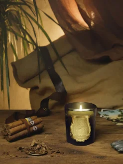 Vela perfumada artesanal Spiritus Sancti (lirio de los valles)