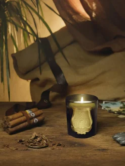 Vela perfumada artesanal Josephine (camelia china, jazmín egipcio & rosa turca)