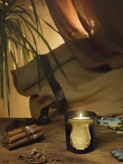 Vela perfumada artesanal Cyrnos (higo negro, madera de cedro, lavanda & pino)