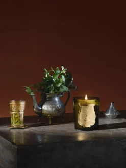 Vela perfumada artesanal Solis Rex (corteza de abeto)