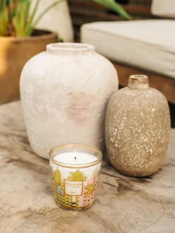 Vela perfumada My First Baobab Miami (flor de sal, pino marítimo y ciprés), 250 ml