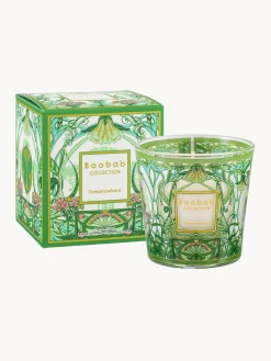 Vela perfumada soplada My First Baobab Tomorrowland 2024 (pera, lirio de los valles y musgo)