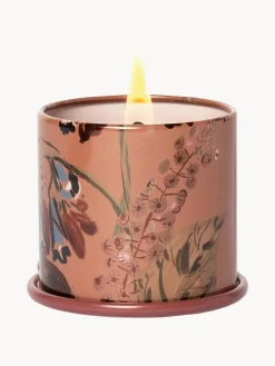 Vela perfumada Vanity Tin (almizcle de cachemira, hoja de tabaco y naranja)